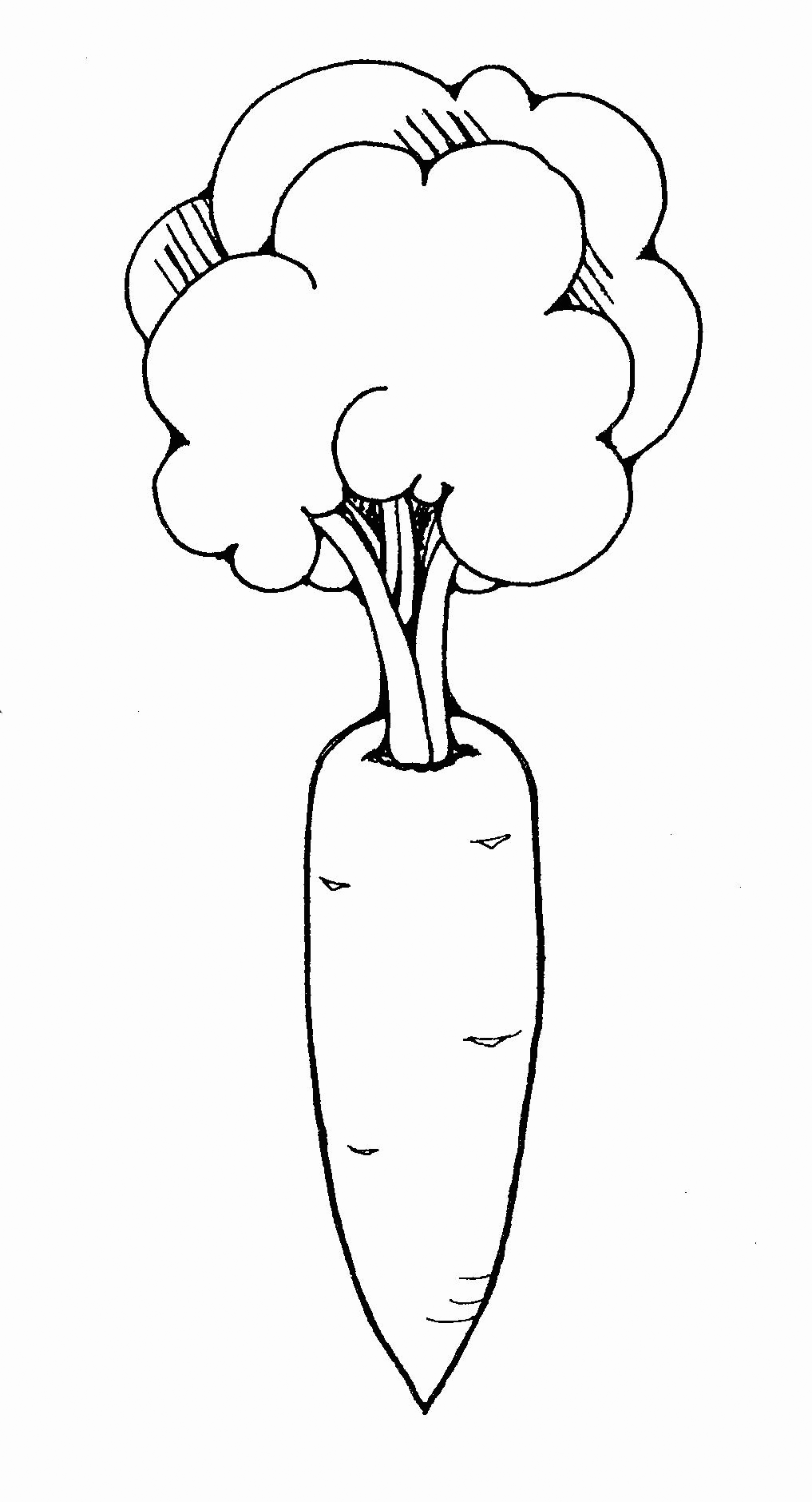 Carrot Coloring Pages Best Coloring Pages For Kids