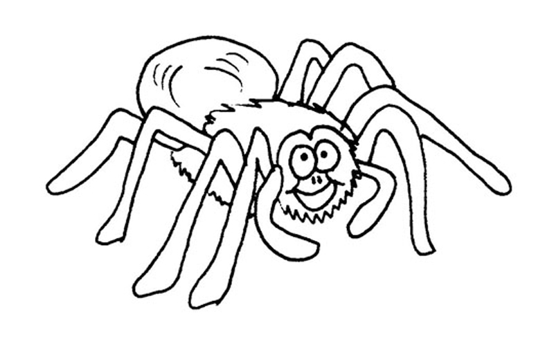 Tarantula Coloring Pages Best Coloring Pages For Kids