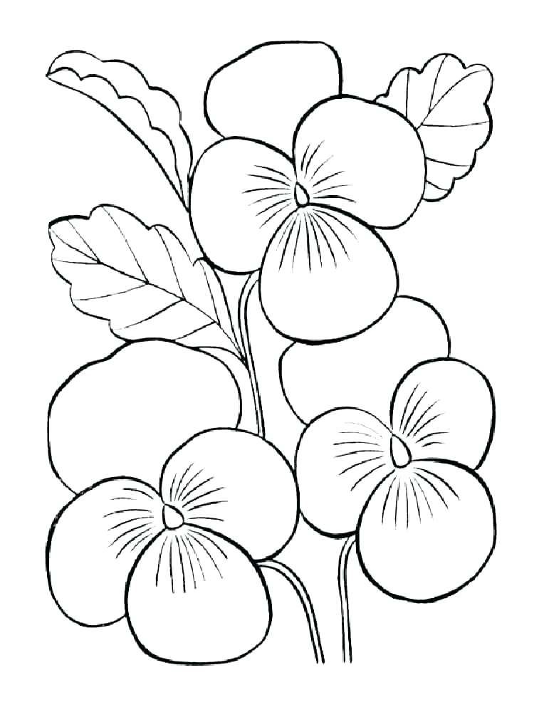 Violet Coloring Pages Best Coloring Pages For Kids