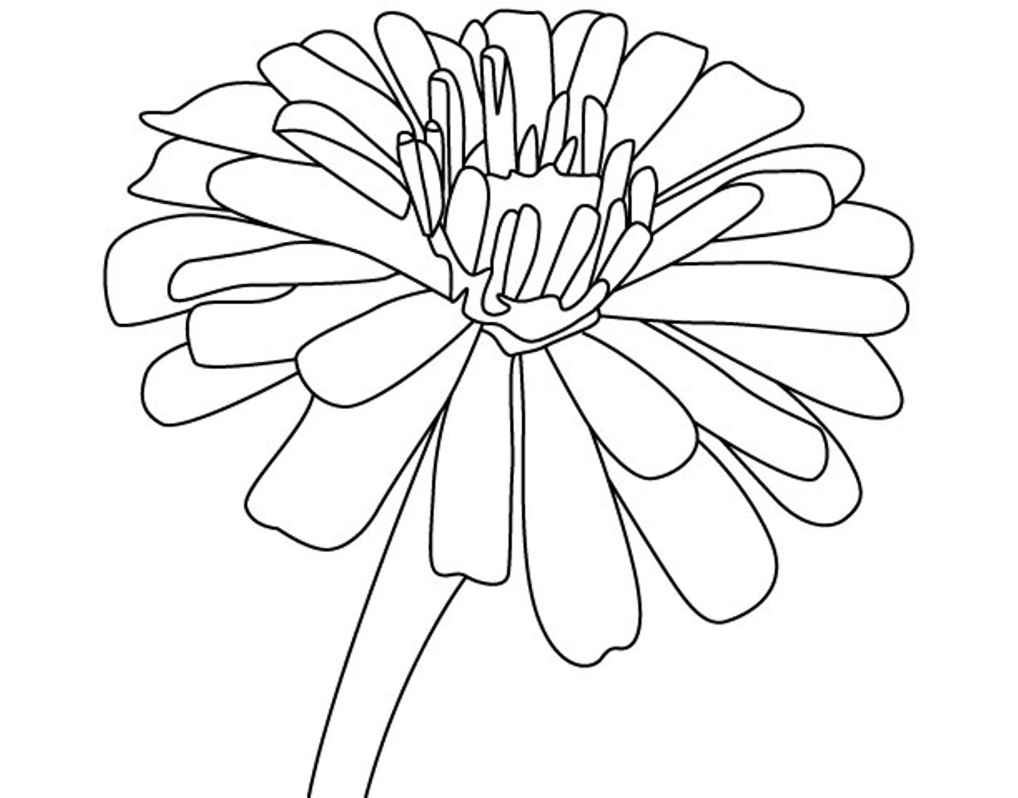 Zinnia Coloring Pages Best Coloring Pages For Kids