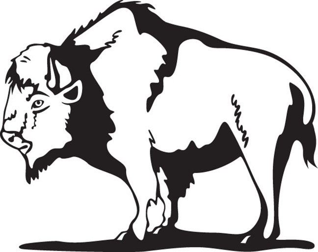 Buffalo Coloring Pages Best Coloring Pages For Kids