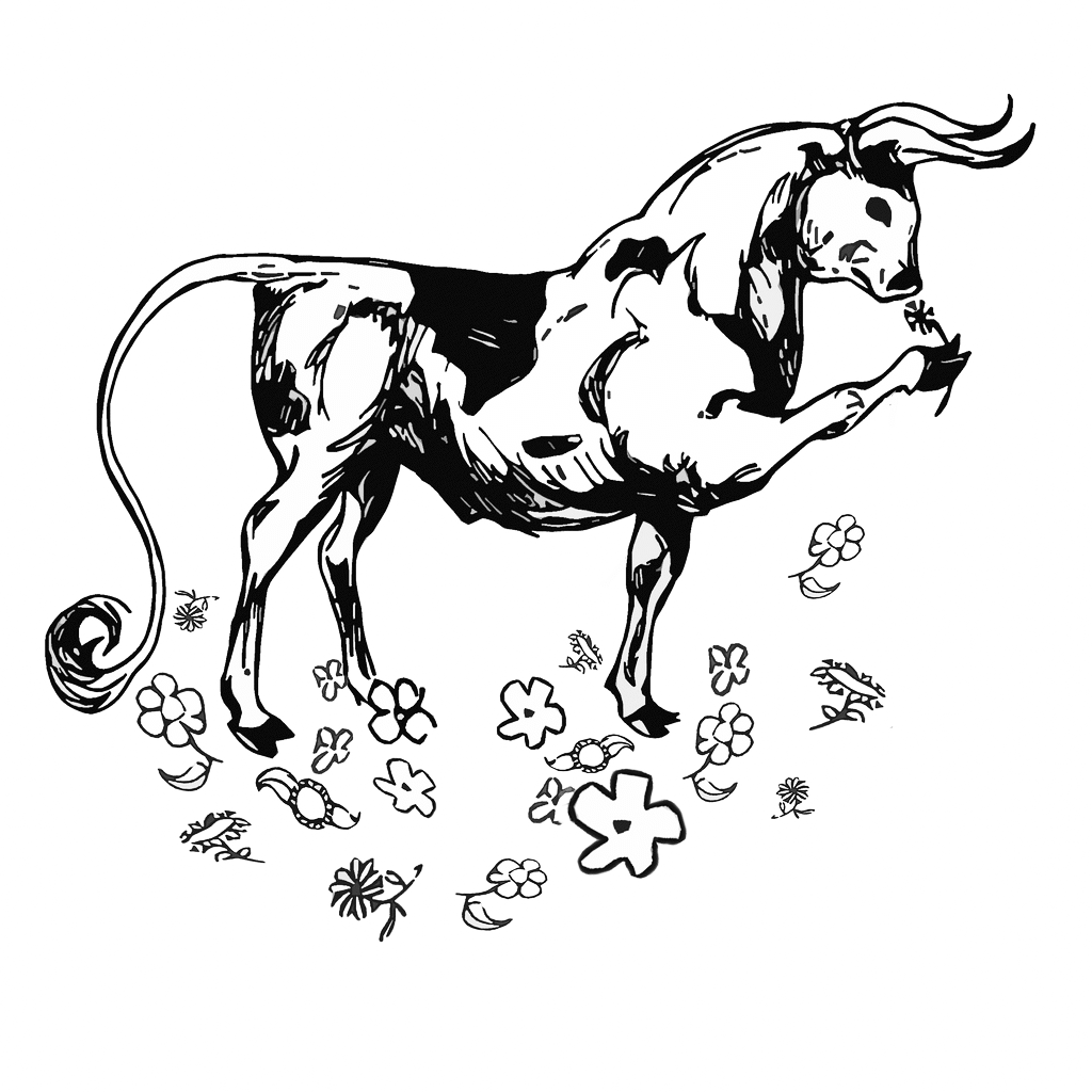 Realistic Bull Coloring Pages