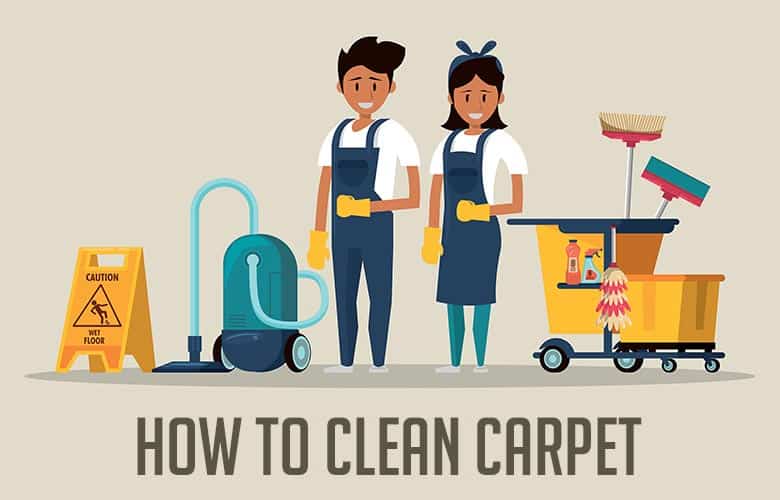How to Clean a Carpet The Definitive Guide