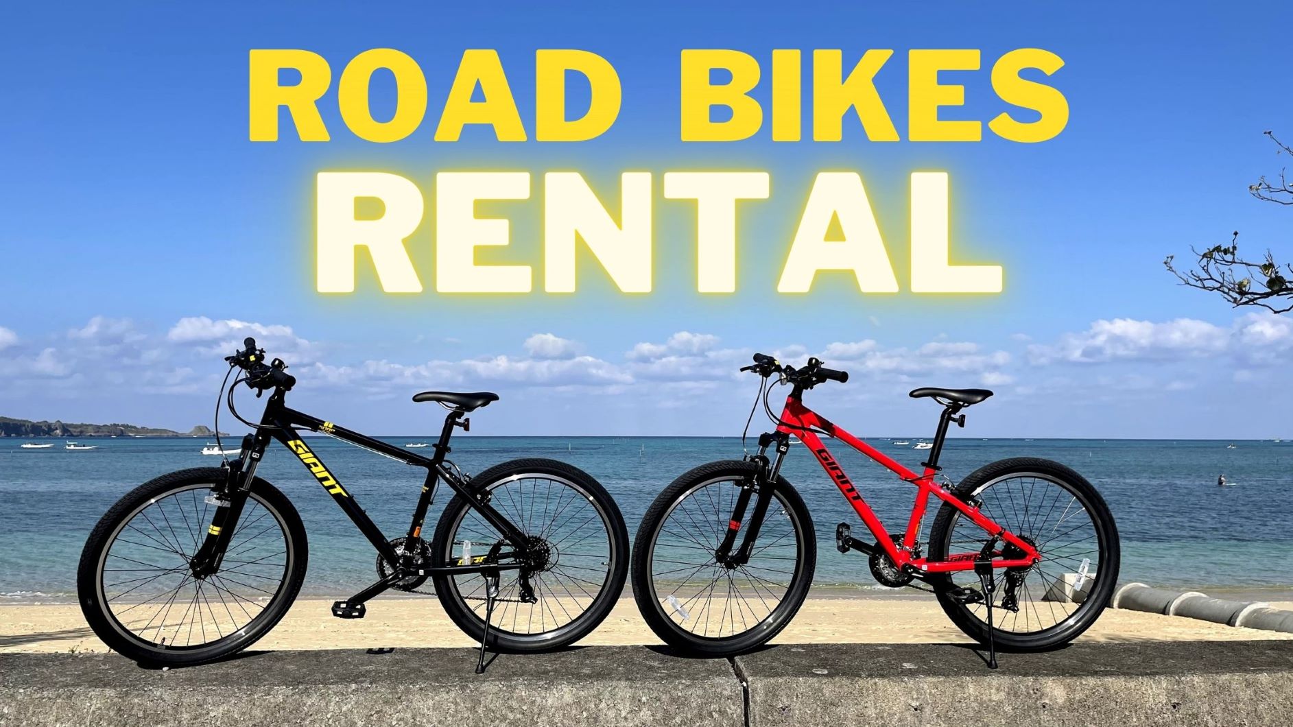 ベストダイブ沖縄レンタサイクル 沖縄恩納村でスローライフ実現