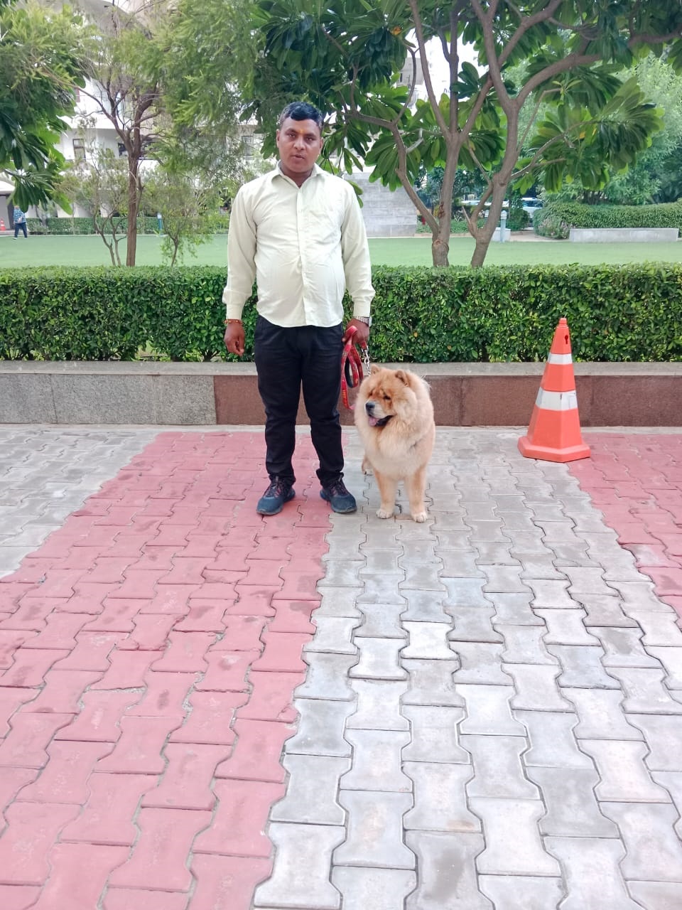Dog Trainer in Delhi Delhi Dog Training Service Near me