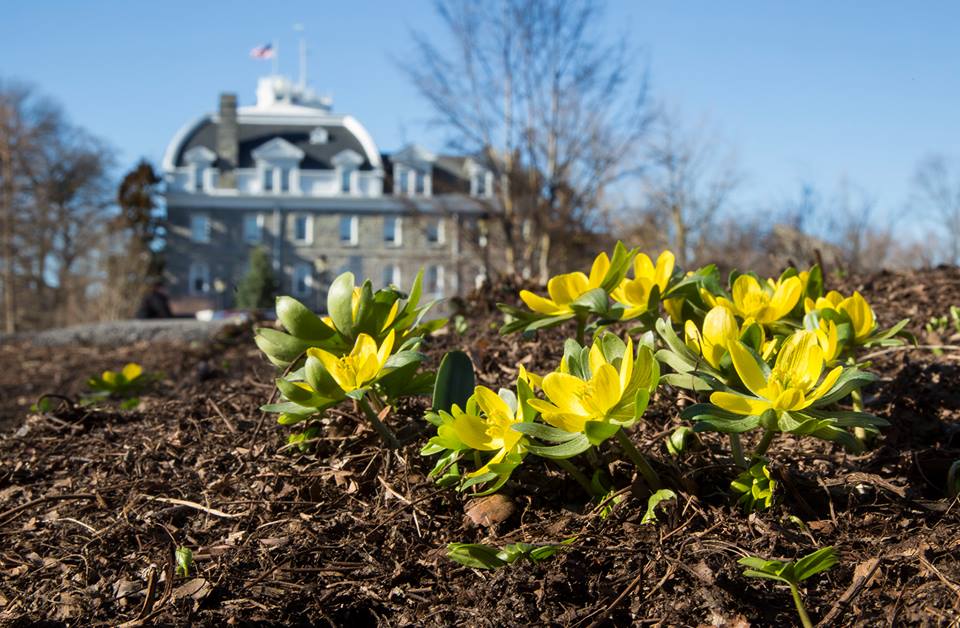 Swarthmore College Best Education Degrees