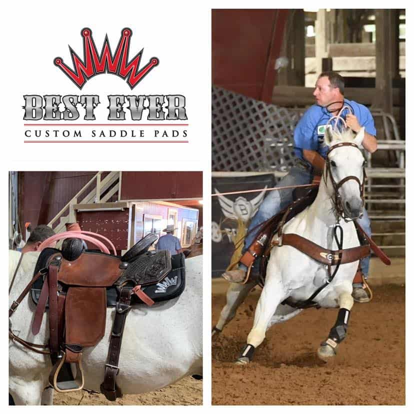 Best Saddle Pads For Roping