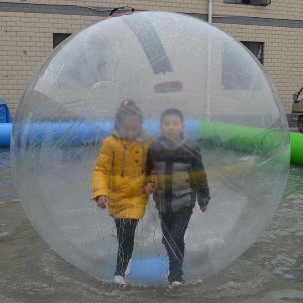Giant Human Sized Hamster Ball Co., Ltd.