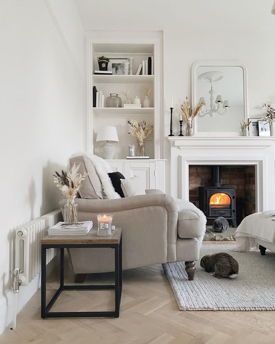 75 Living Room Radiator Ideas