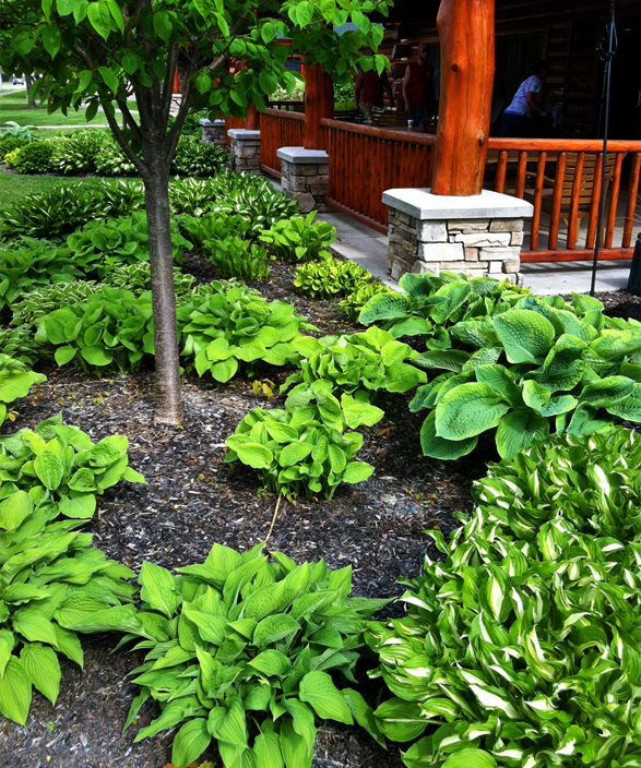 Best Maintenance & Lawn Care Services of Sault Ste. Marie