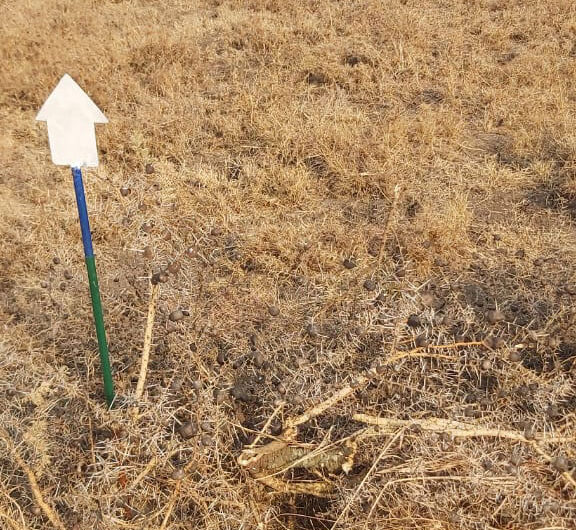 Prime 50*100 Plot for Sale in Ruiru East, Kilimambogo View Gardens