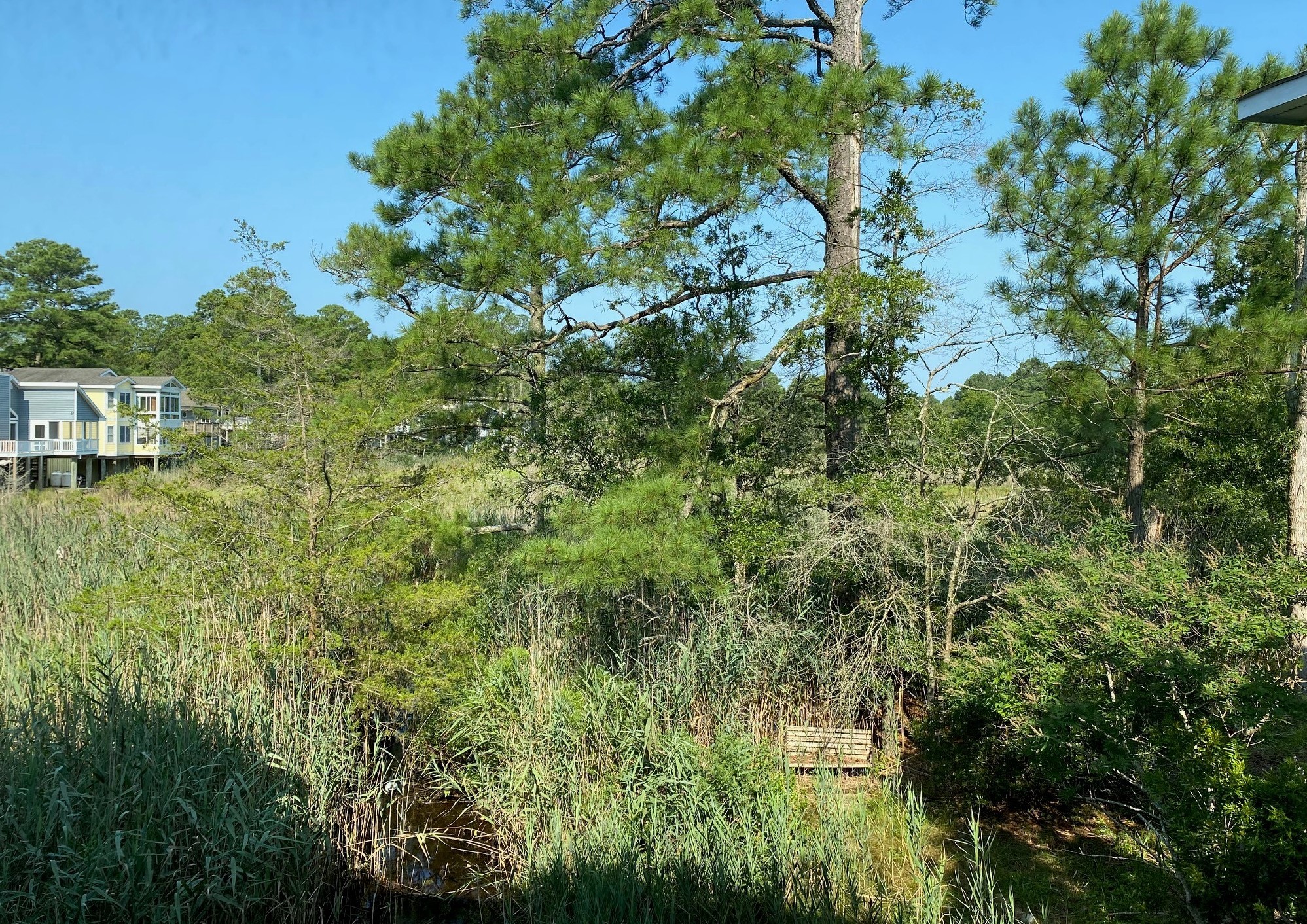 421 Black Gum Drive, South Bethany Property Listing