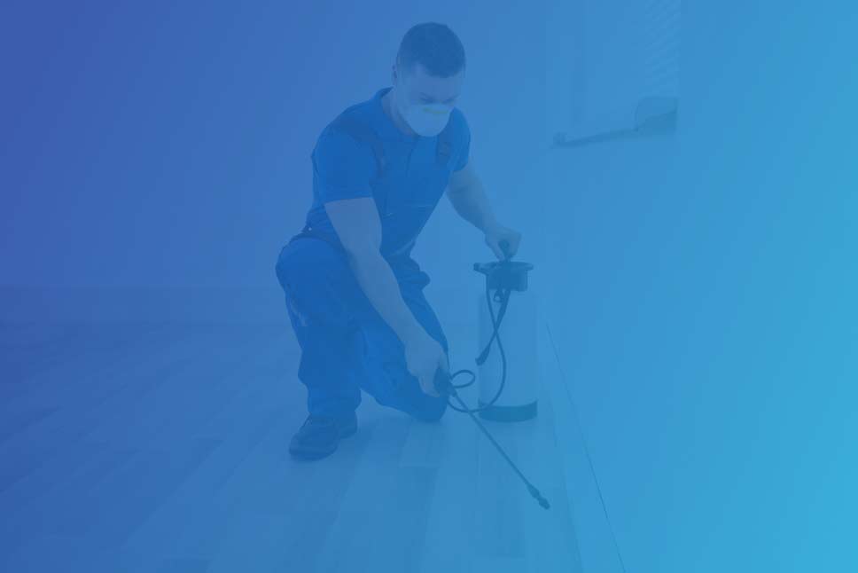 Pest Control Companies Near Me Reviews Pest Control