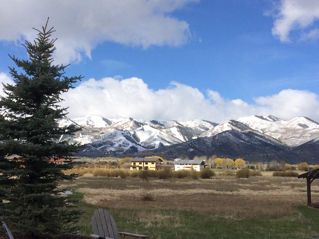 Old Ranch Road Real Estate for Sale