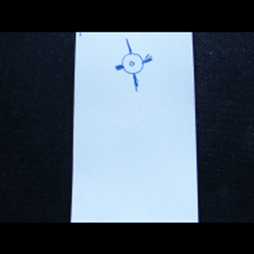 Picturesandanimations