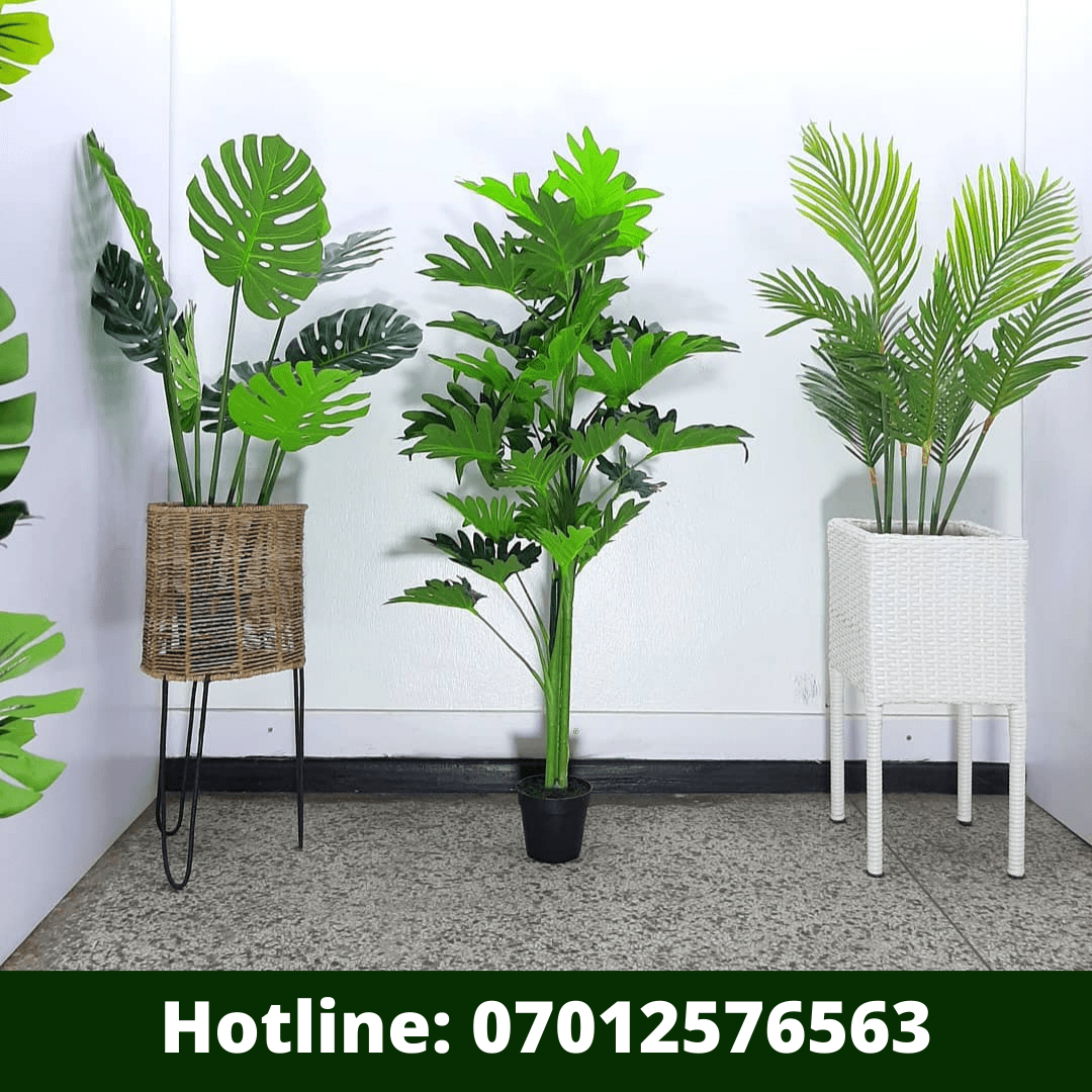 3 Ways to Clean And Maintain Artificial Plants Suppliers Of