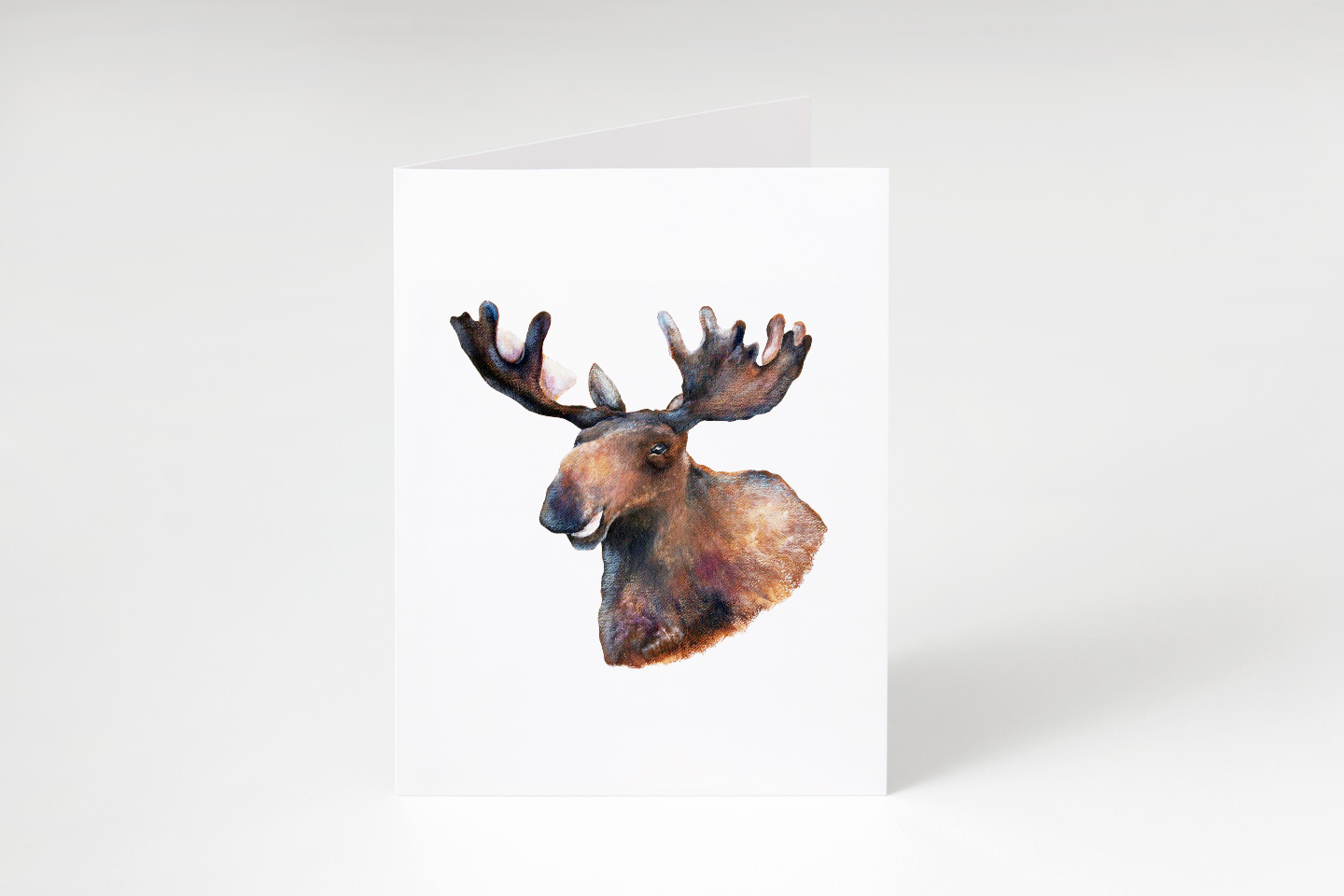 Smiling Moose Notecard Beth Stephens