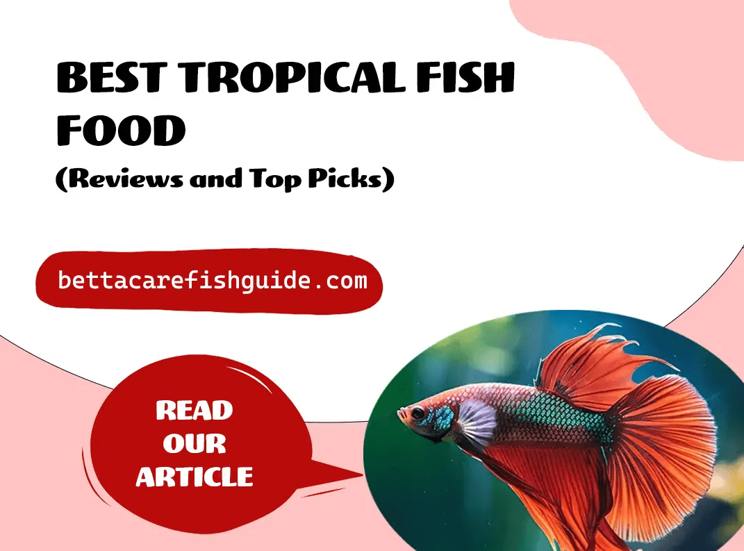 Best Tropical Fish Food Reviews and Top Picks