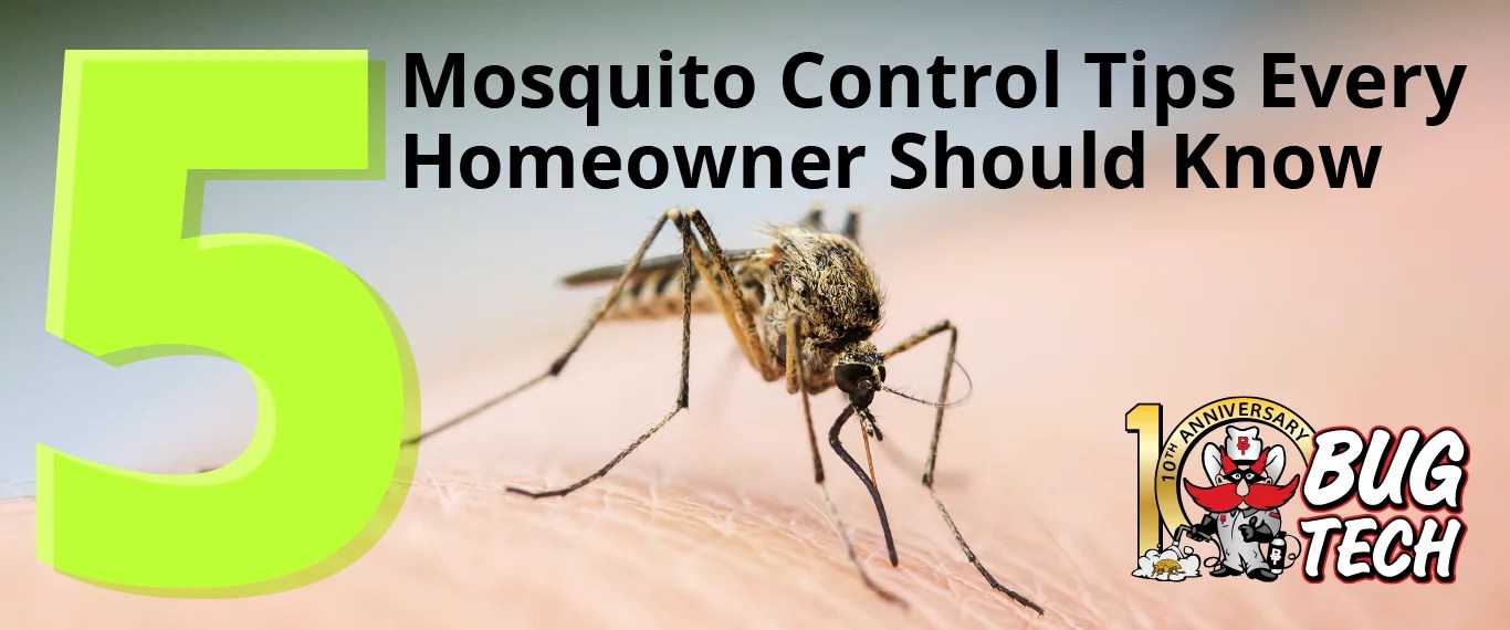 5 MOSQUITO CONTROL TIPS EVERY HOMEOWNER SHOULD KNOW Bug Tech