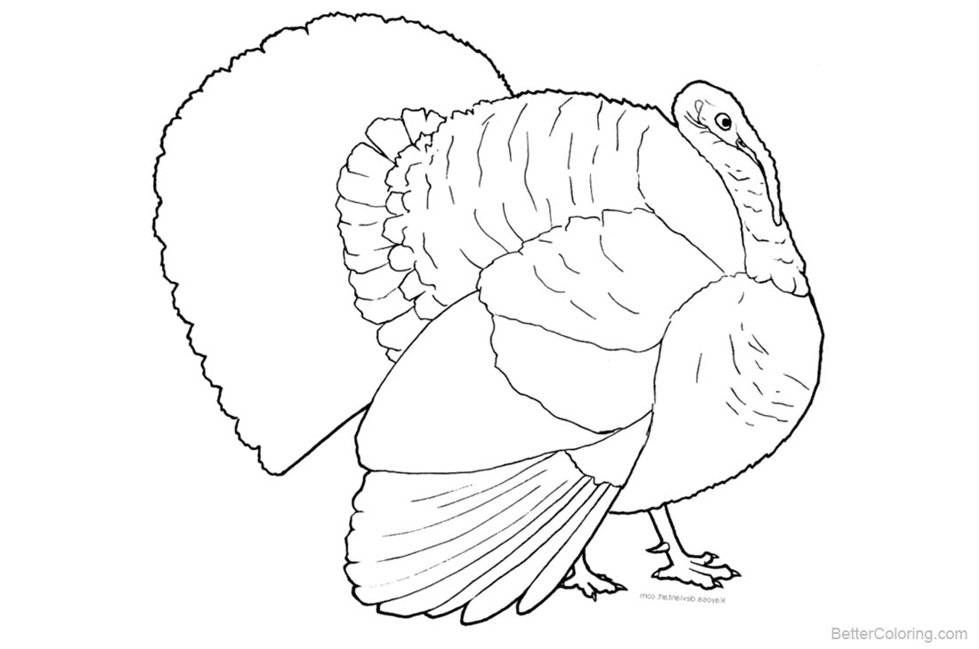 Turkey Coloring Pages Free Printable Coloring Pages