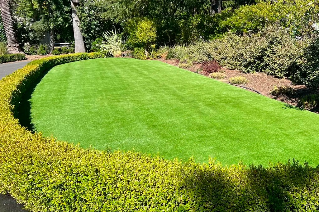 Installing artificial grass for backyard in California