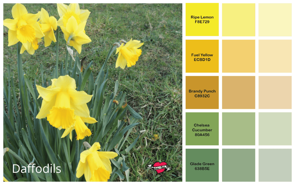 Professional Color Palettes The Colors of Nature Bettes Makes