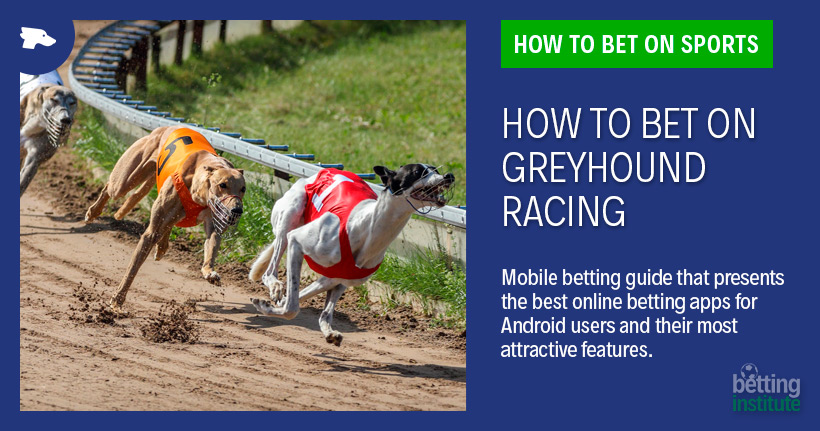 How To Bet On Dog Races And Win Football Index site