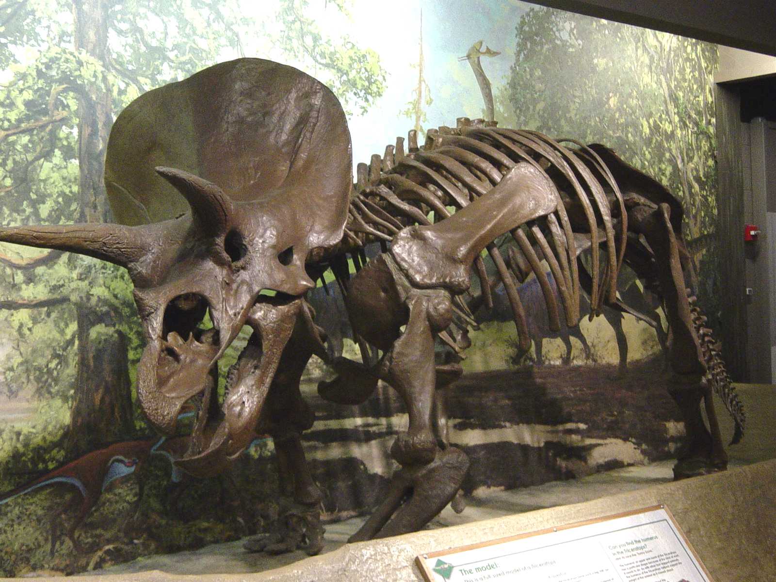 Museum of Science
