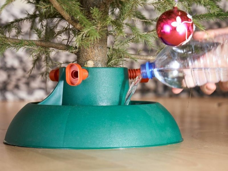 A Guide on Watering a Christmas Tree Betty's Christmas House