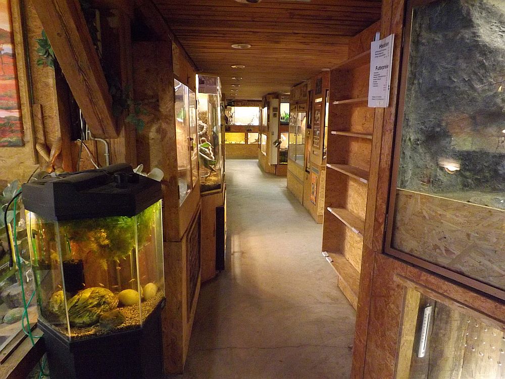 Schildkröten und Reptilienzoo NeuUlm Der BeutelwolfBlog
