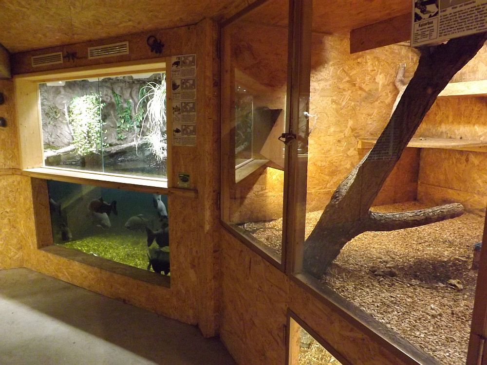 Schildkröten und Reptilienzoo NeuUlm Der BeutelwolfBlog