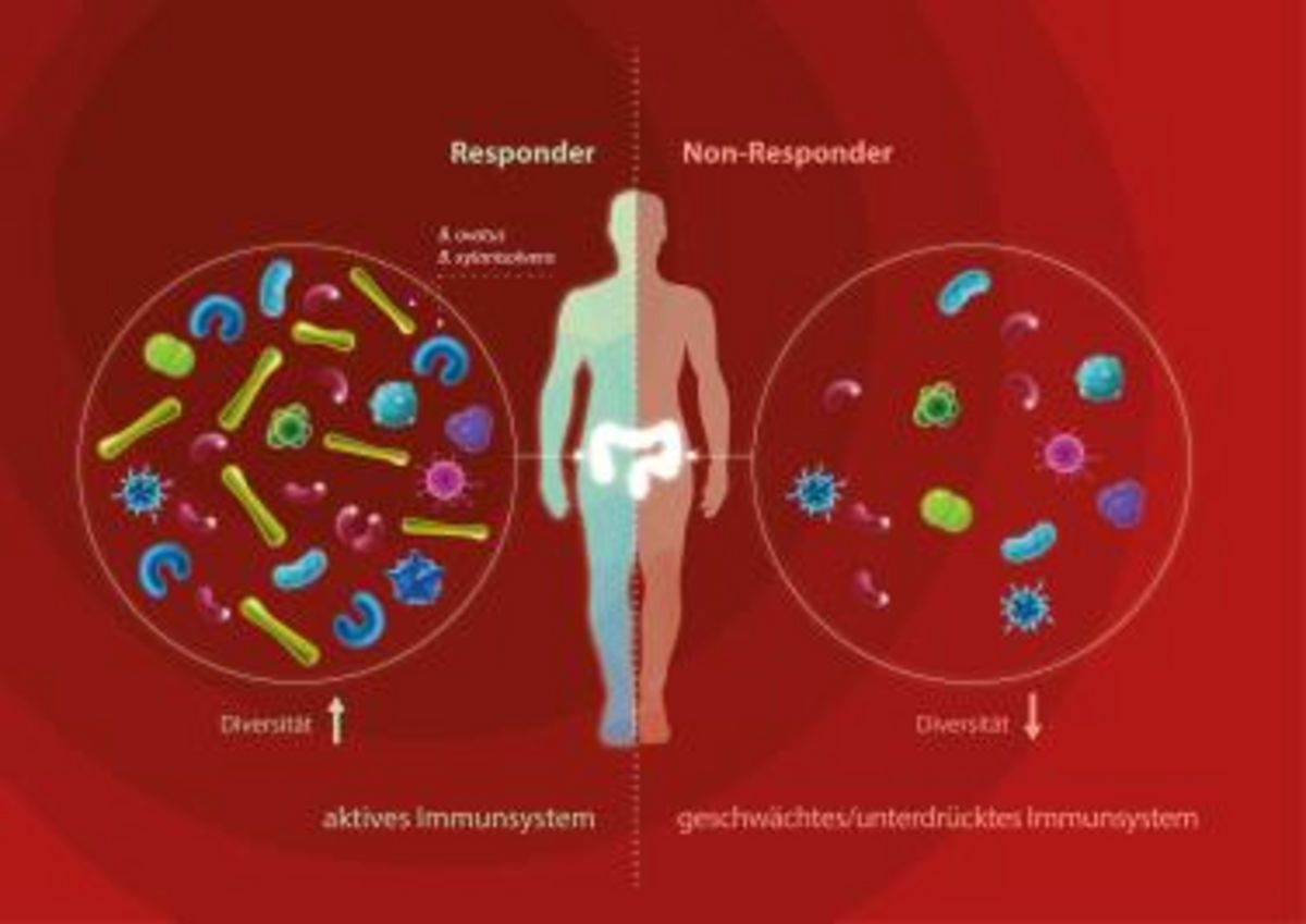 Beutenberg Kann das Mikrobiom in Zukunft zu einer Therapieprognose bei