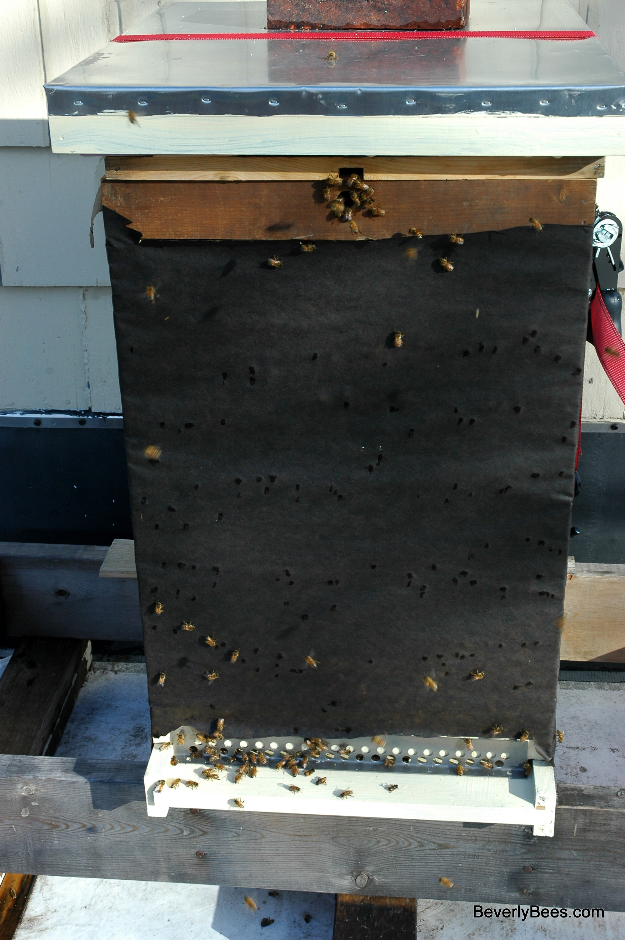 Feeding Bees Sugar Candy Board For Winter Feeding No Cook Recipe