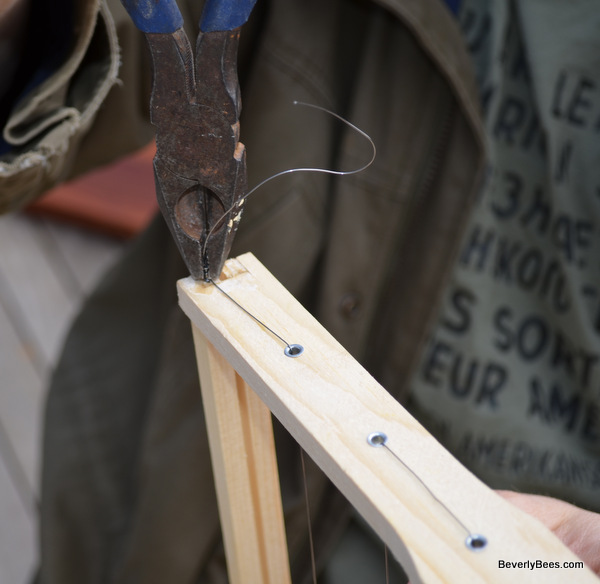 How To Wire A Frame A Beginner Beekeeper's Guide Beverly Bees