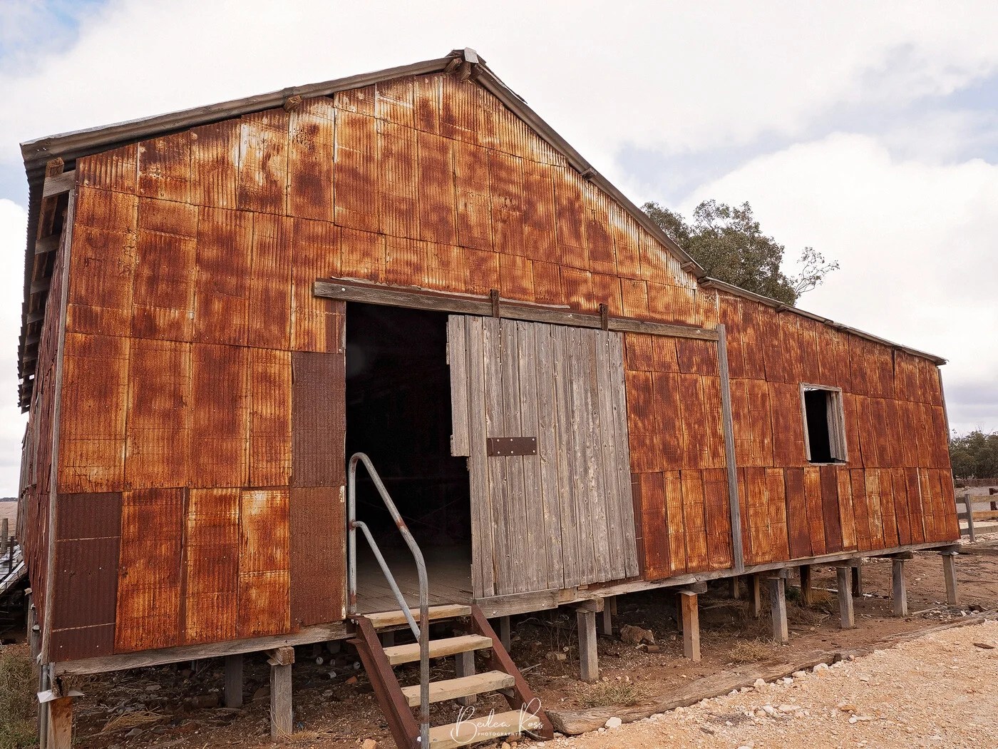woomelang shearing shed