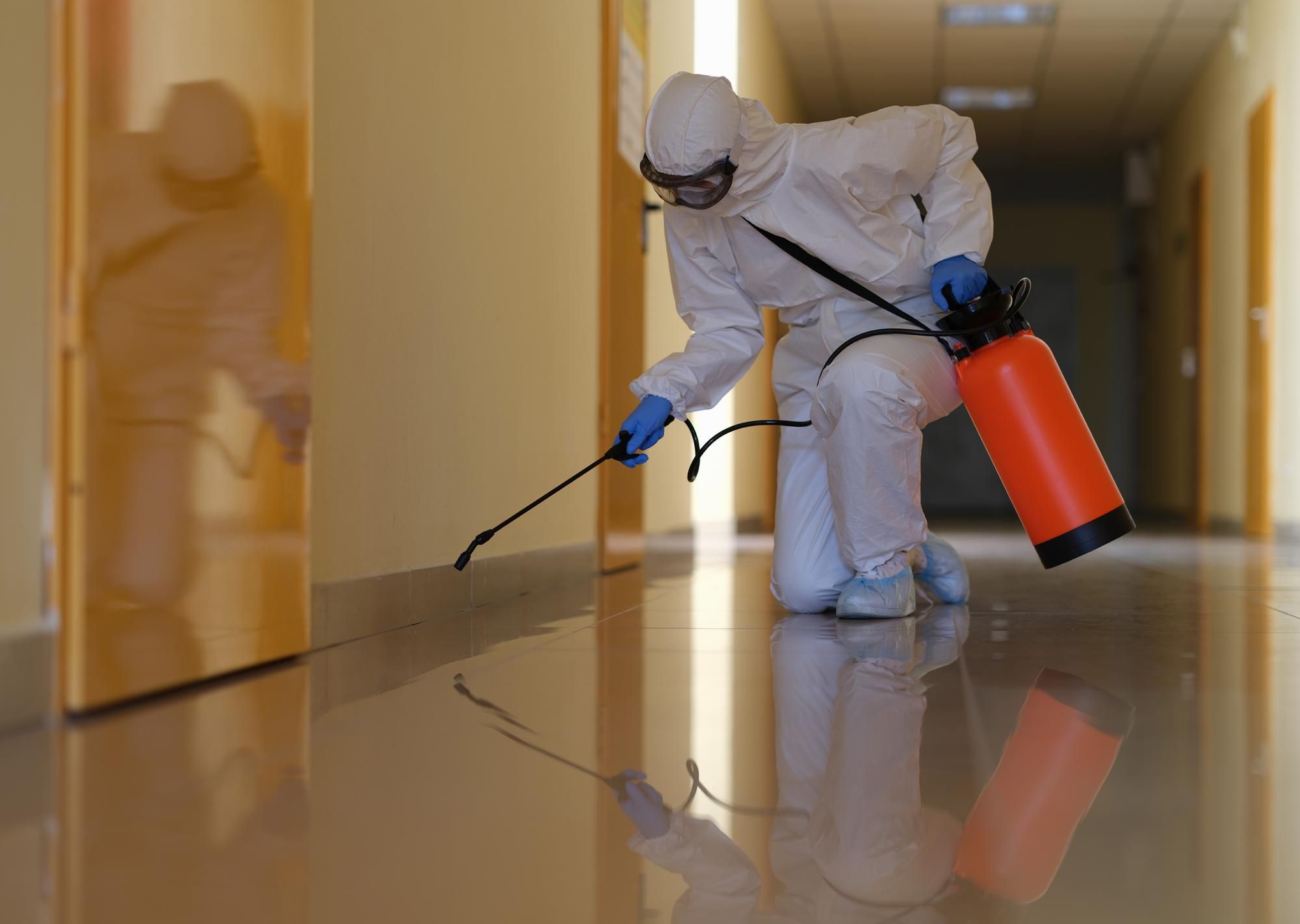 The Importance of Pest Control for Your Business Protecting Customers