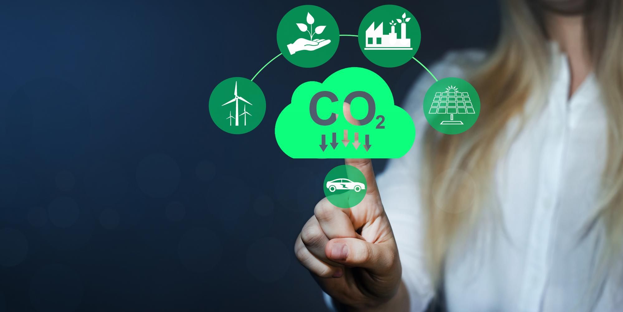 Achieving Net Carbon Zero Strategies for a Sustainable Future Bevwo