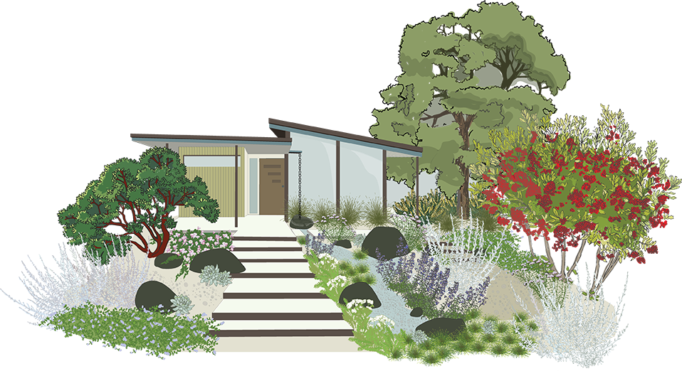 californianativeplantprofiles