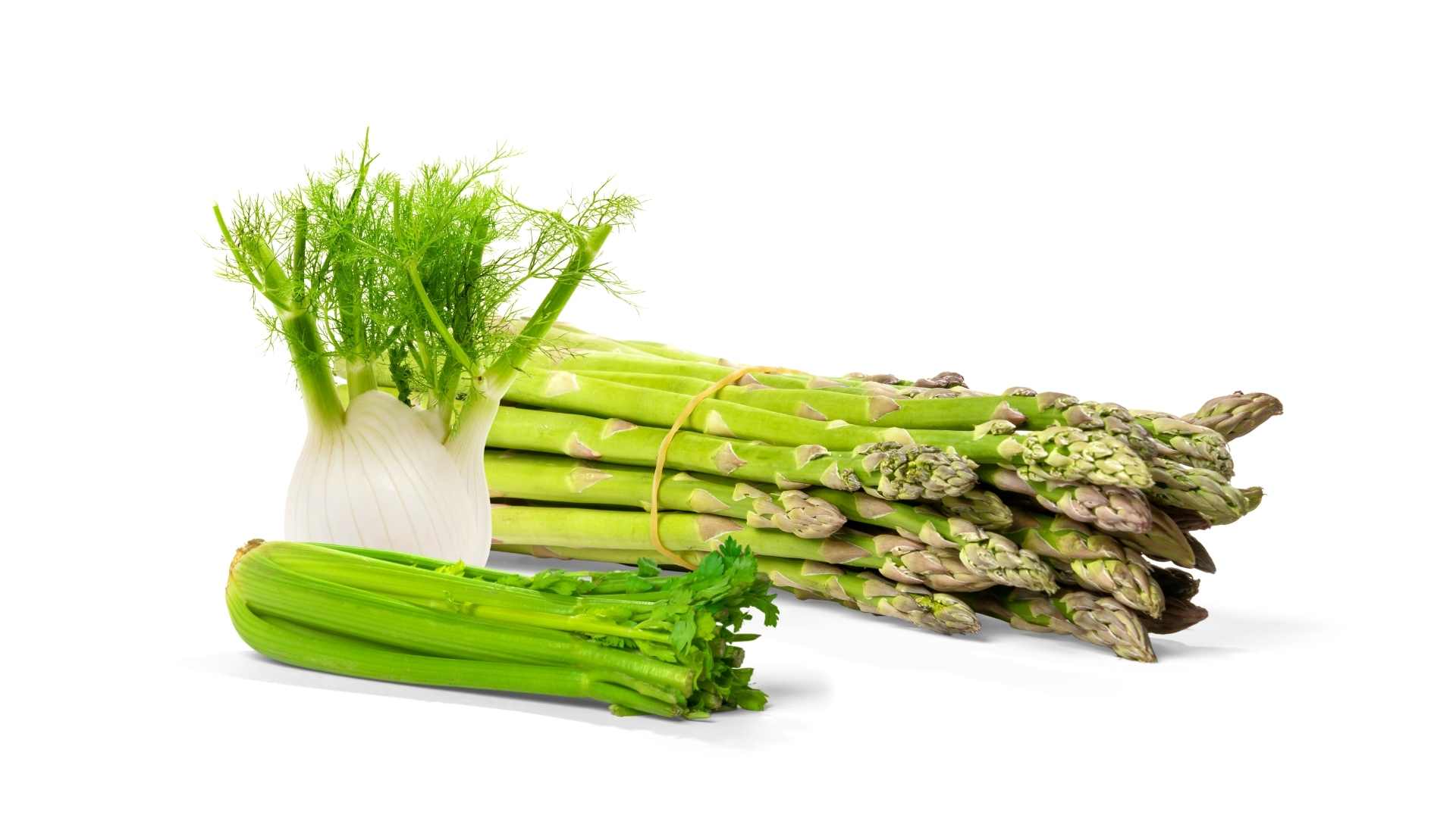 Our Vegetables Beyond Fruits Limited