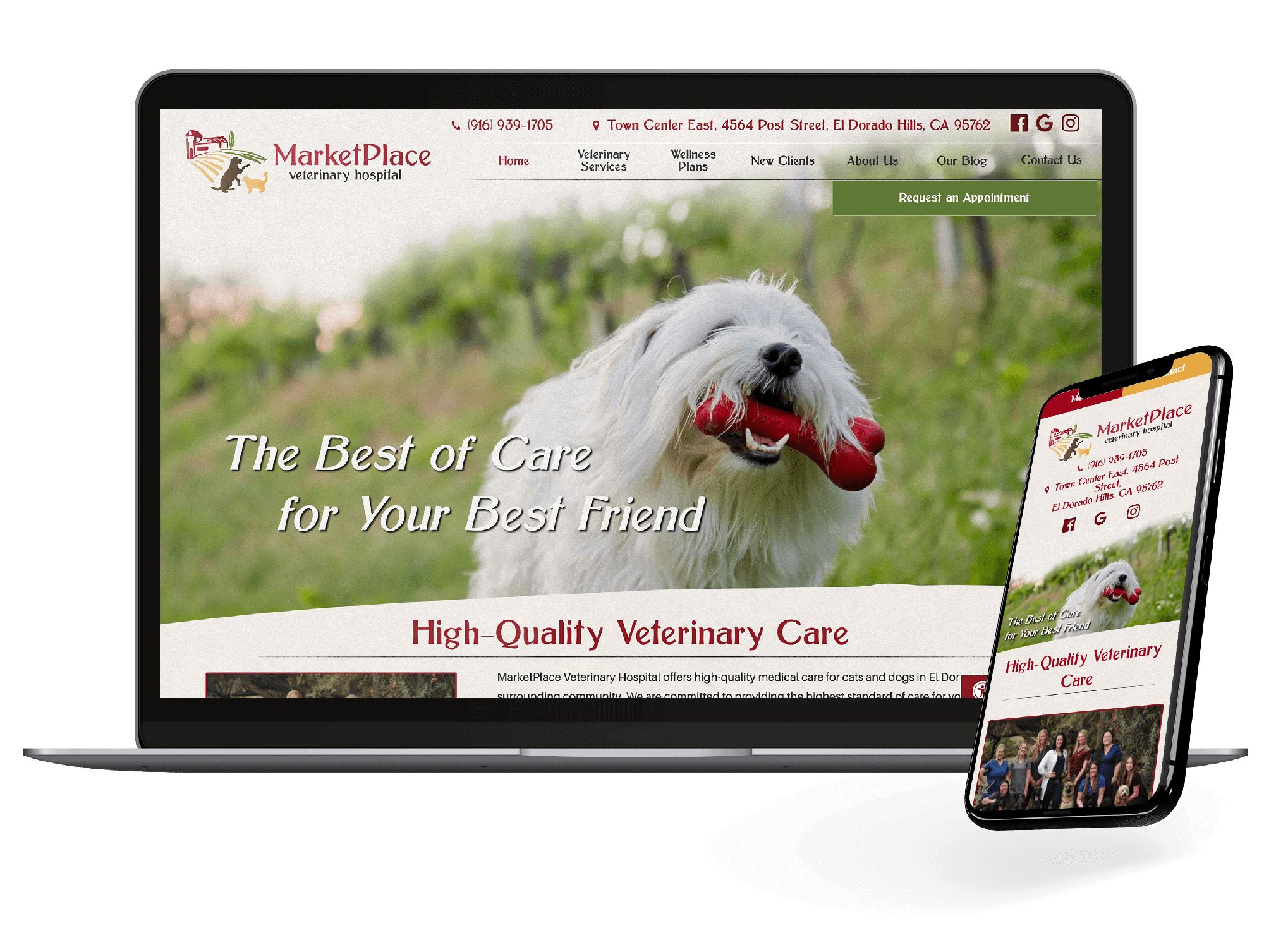 Veterinary site Design BEYOND INDIGO PETS