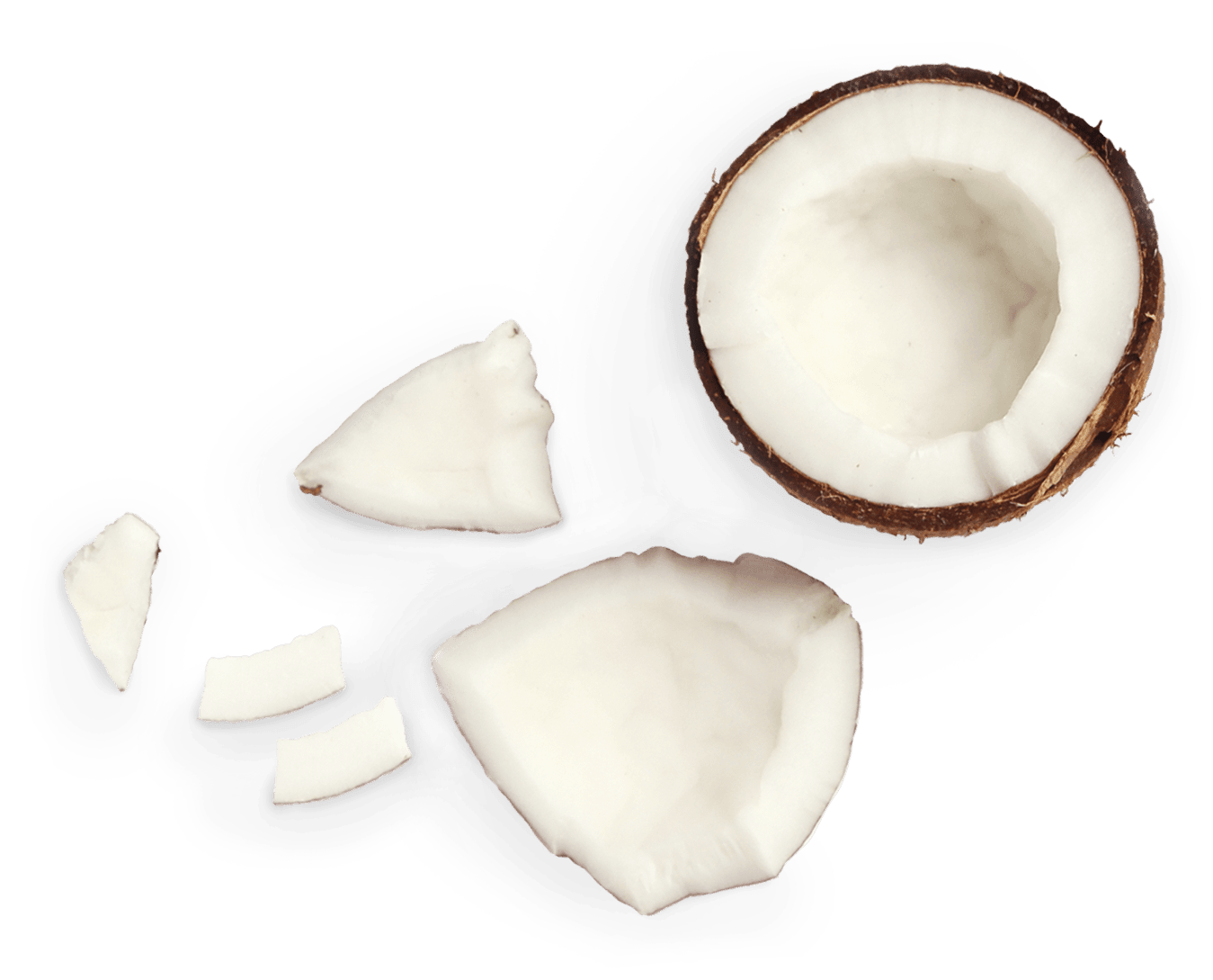 Our Ingredients Beyond Meat Go Beyond®