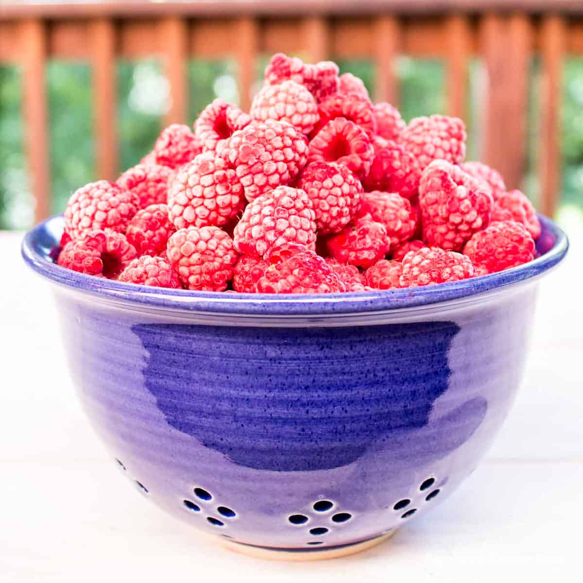 Freezing Raspberries Beyond The Chicken Coop
