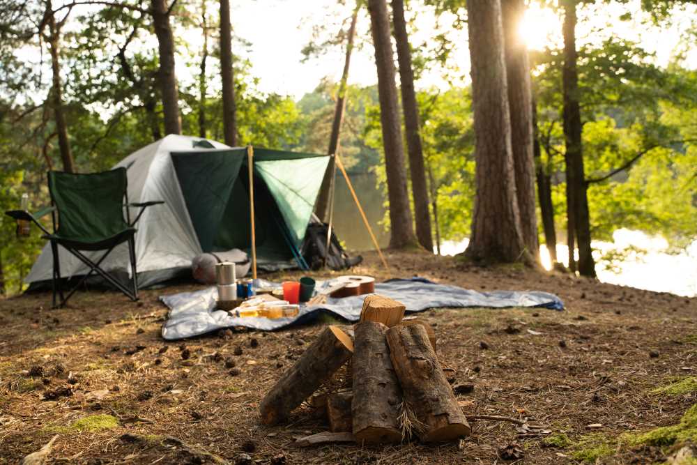 Pisgah National Forest Camping 5 Fun Things to do & More