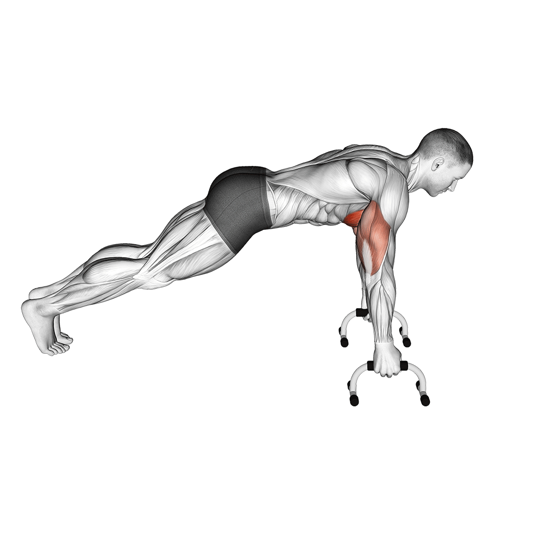 All PushUps Exercises Your Guide to a Powerful Upper Body