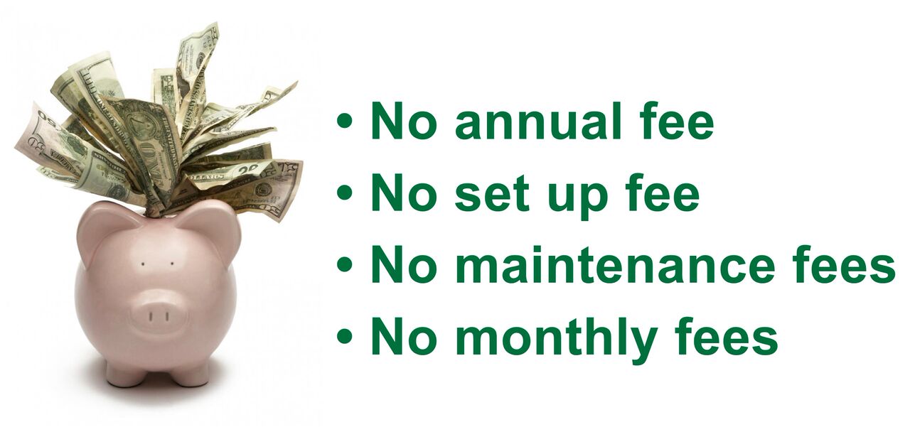 BFG Federal Credit Union Accounts and Services Health Savings Accounts