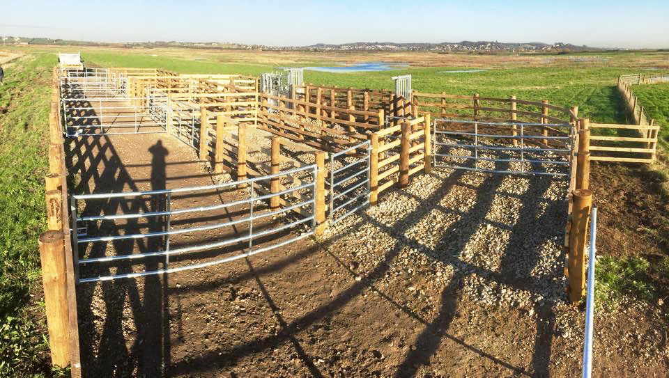 Gallery BF Ground Maintenance Ltd