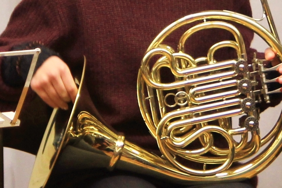 Neue instrumentale Hauptfächer Horn und Orgel Berufsfachschule für Musik