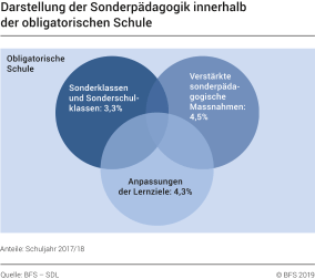 Darstellung der Sonderpädagogik innerhalb der