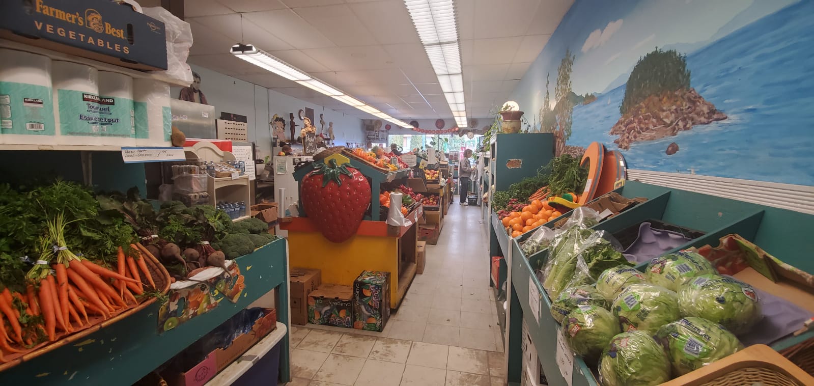 Grocery Store For Sale in White Rock Business For Sale Online BFSO