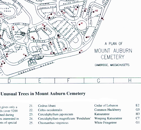 BGMap Feature Article Mount Auburn Cemetery Creates Brochure With BGMap